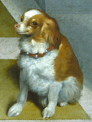 Museum Dogs